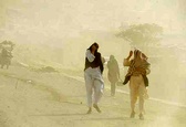 وزش باد با سرعت 90 کیلومتر در سیستان و بلوچستان/ گرد و غبار در زاهدان 11 برابر حدمجاز