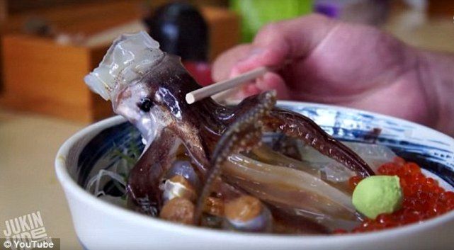 عکس/ غذای وحشتناک یک رستوران ژاپنی 