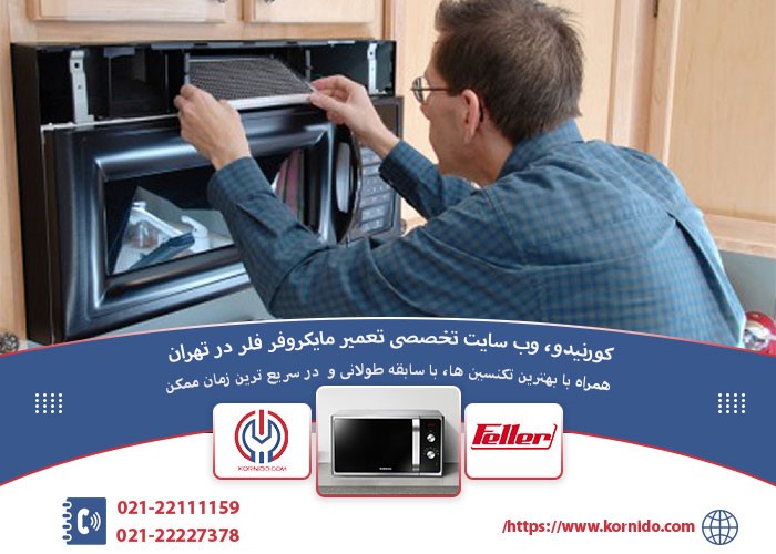 تعمیر مایکروفر فلر