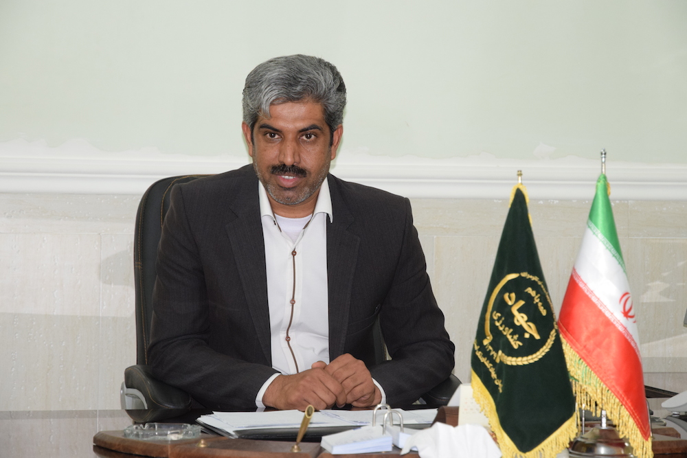 موافقت صندوق بیمه کشاورزی با پرداخت خسارت به کشاورزان لامرد و مهر 