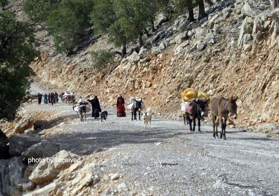 کوچ خیابانی عشایر در خوزستان، جاذبه یا معضل!+ تصاویر