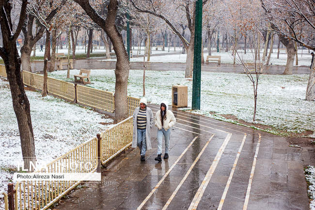 قزوین در آغوش برف به روایت تصویر