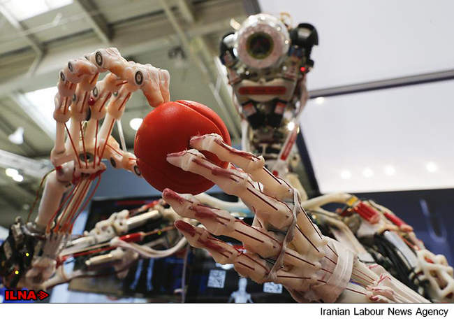 ظهور ربات های خانگی