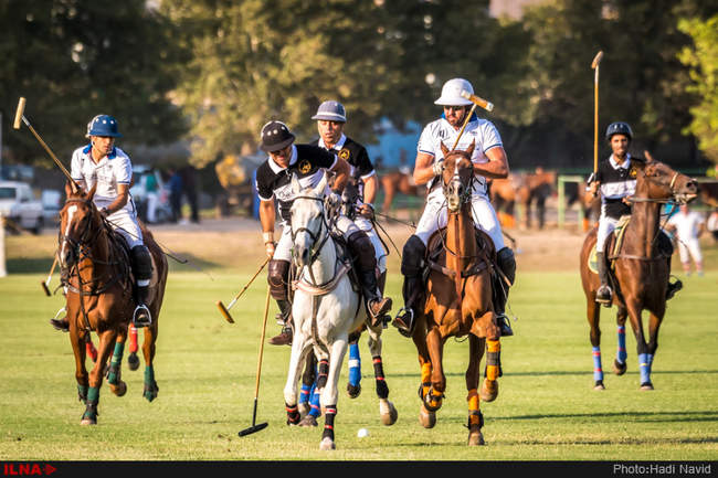 رقابتهای چوگان جام مدافعین حرم- بزرگداشت شهید حججی/مسابقه تیمهای نور