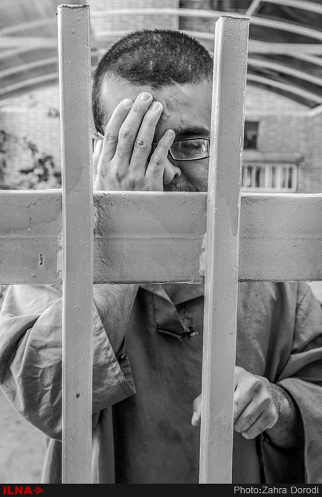 تنهایی پر هیاهو / استان قم