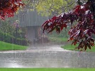 باران کجا بارید؟ کجا نبارید؟