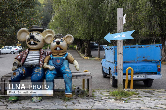 چشم انداز جنگل و دریا در قاب طبیعت