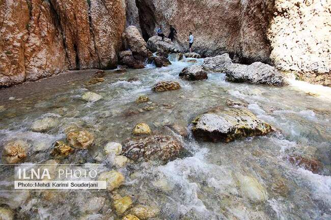 IMG_1072 copy 2