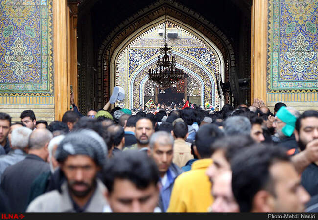 زائران اربعین حسینی در نجف اشرف/4