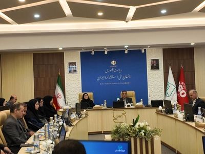 تاکید معاون اجرایی رئیس‌جمهور بر نقش کلیدی استاندارد در تأمین منافع ملی