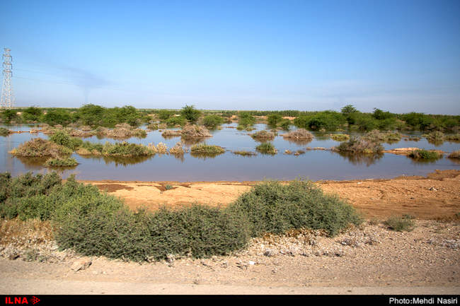 سیلاب در جاده شادگان