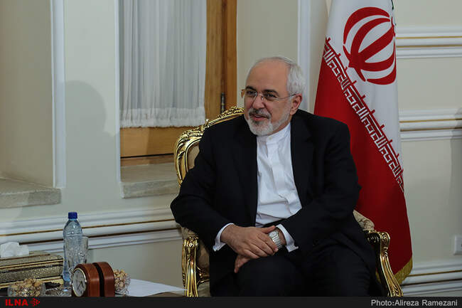 دیدار رئیس گروه دوستی ایران و پارلمان اروپا با محمد جواد ظریف