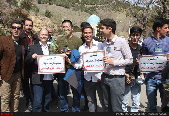 نهال کاری در دامنه کوه آبیدر سنندج 