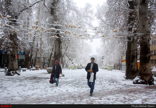 بارش برف پاییزی در تهران