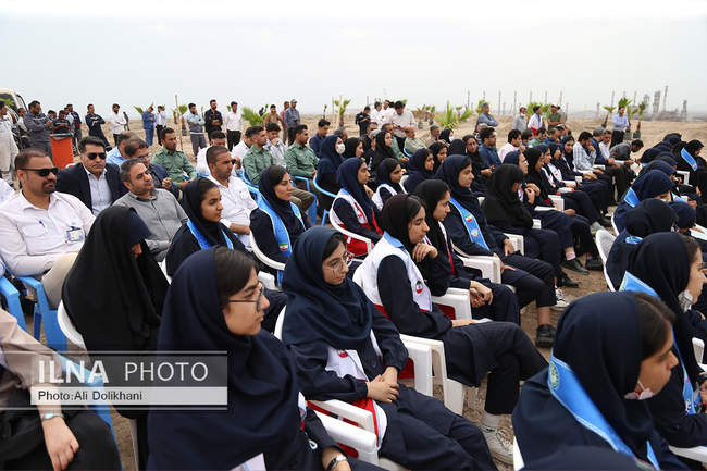 روز ملی درختکاری به میزبانی پالایشگاه نفت ستاره خلیج فارس بندرعباس