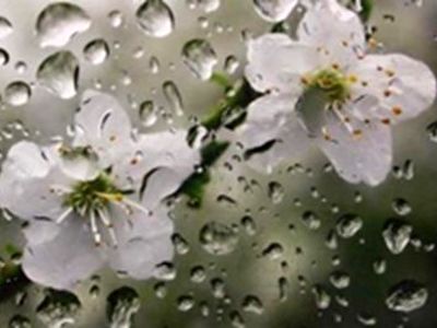 ادامه رگبار پراکنده‌ باران تا ۲ روز آینده در گیلان 