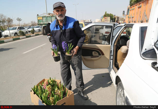 بازار گل و گیاه تهران در آستانه نوروز