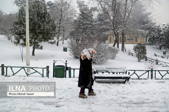 پارک ملت در یک روز برفی