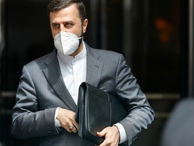 Iran's envoy to Vienna-based international organization's mission to end