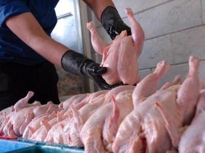 کاهش ناگهانی قیمت مرغ در بازار/ تولیدکنندگان در کسادی بازار ضرر کردند