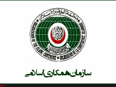 نشست‌های تخصصی اجلاس سران سازمان همکاری اسلامی در ترکیه آغاز شد