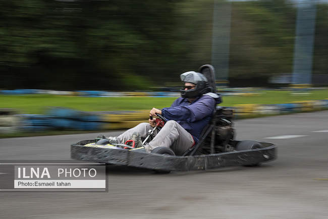 چشم انداز جنگل و دریا در قاب طبیعت