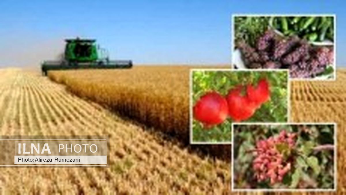واردات برخی کالاهای اساسی چالشی برای بخش کشاورزی