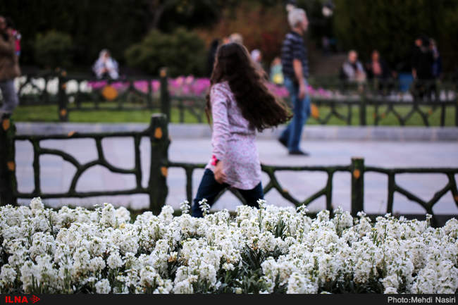 گلهای بهاری