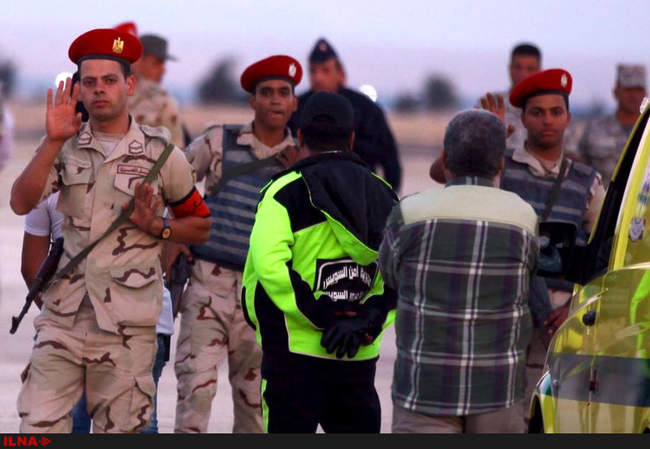 سقوط هواپیمای روسیه در مصر