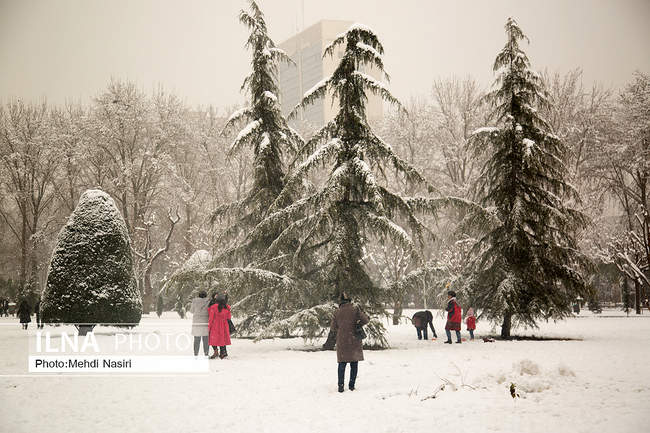 بارش برف زمستانی در تهران /2