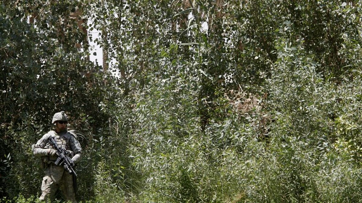اتهام ۴۰ شرکت خارجی به جاسوسی در عراق