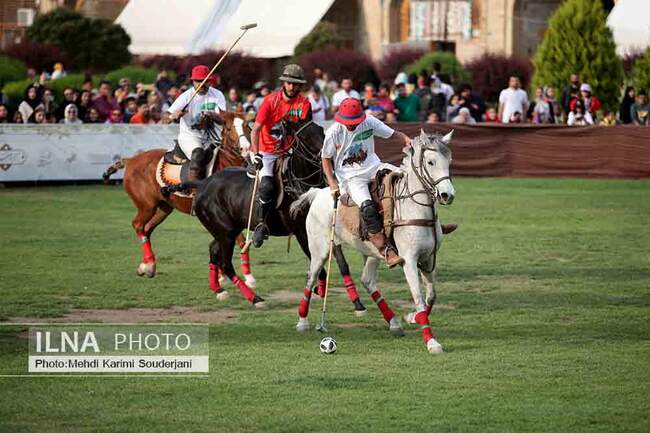 IMG_5043 copy