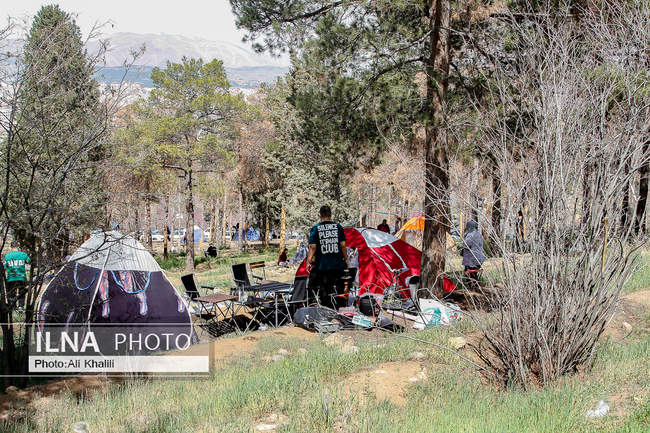 سیزده بدر 1404  _ بوستان جنگلی سرخه حصار _ تهران