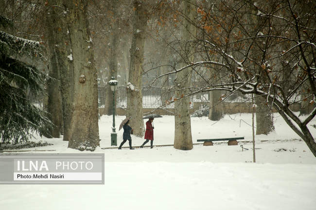 مجموعه فرهنگی-تاریخی نیاوران در یک روز برفی