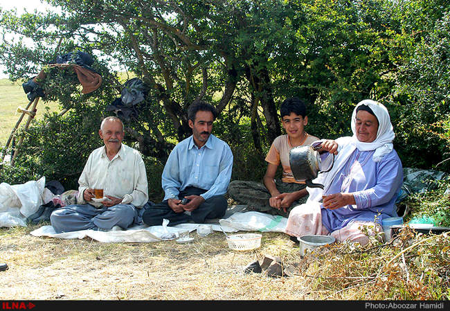 برداشت علوفه زمستانه دام از مراتع شهرستان رودبار 