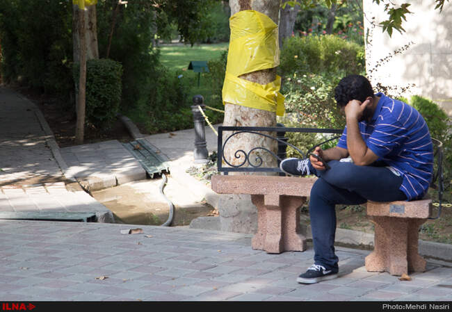 خیابانهای تهران در تصرف سفید بالک ها