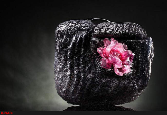 نمایشگاهی ازشکوفه های شیشه ای هنر معاصر چینی در مرکز فرهنگی چین در بر