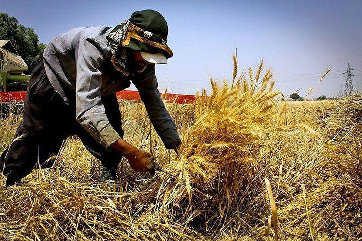 آخرین گزارش بررسی طرح‌های اشتغال روستایی 