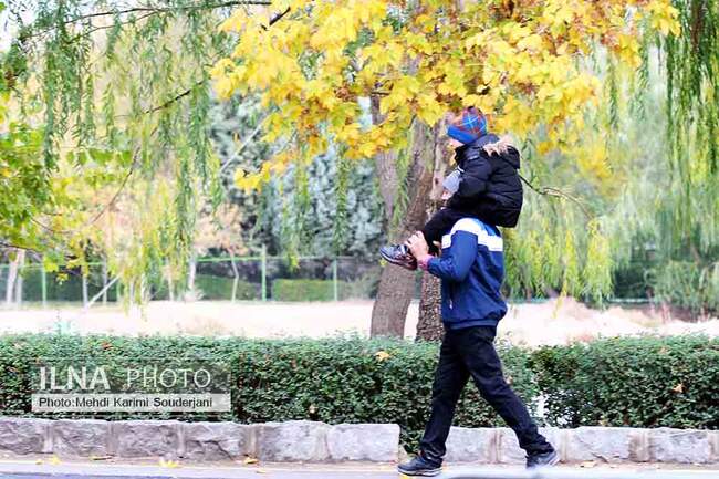 IMG_1263 copy