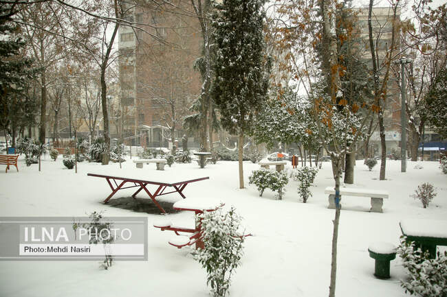 بارش برف در تهران