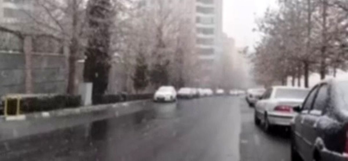 بارش برف در مناطق شمالی تهران + فیلم