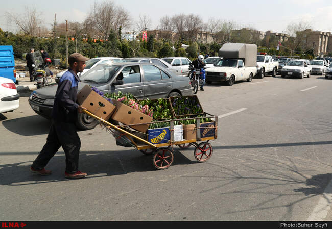 بازار گل و گیاه تهران در آستانه نوروز