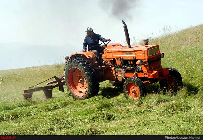 برداشت علوفه زمستانه دام از مراتع شهرستان رودبار 