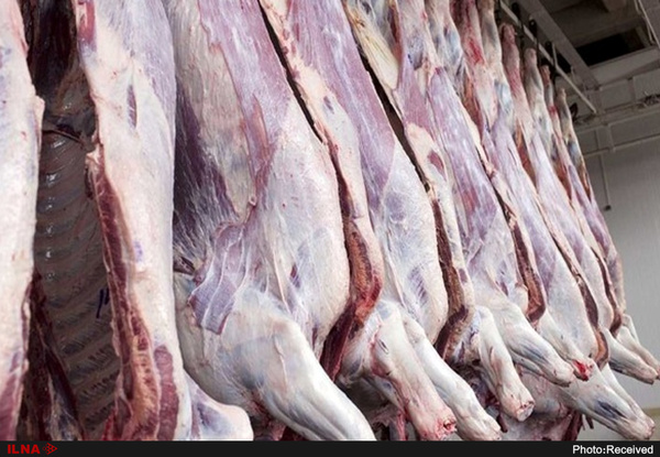 جهش قیمت گوشت صحت ندارد/ ذخیره دام زنده کاهش یافته است 
