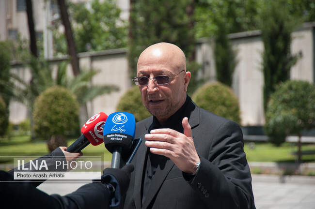  محمد علی زلفی گل