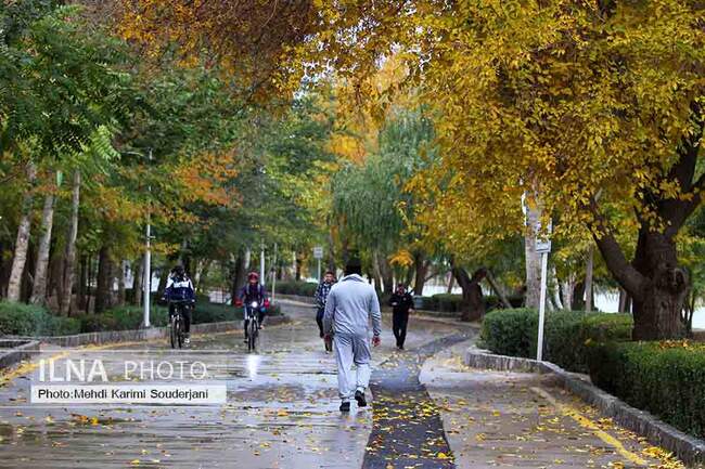 IMG_1200 copy
