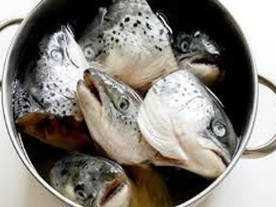 طرز تهیه سر ماهی خوشمزه تر از خود ماهی/فیلم