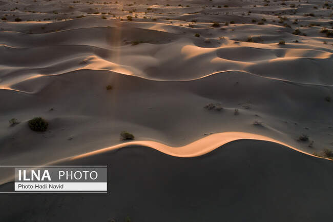 کویر مصر