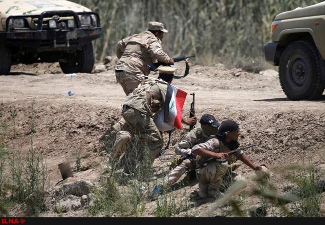 نیروهای عراقی وارد فلوجه