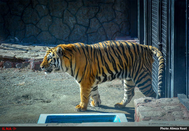 سفر یک روزه معاون رئیس جمهوری و رئیس سازمان حفاظت محیط زیست به قزوین